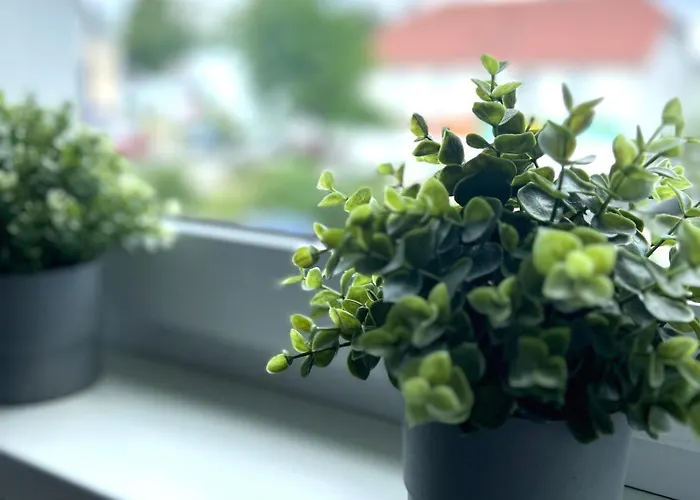 شقة Stilvoll-fewo